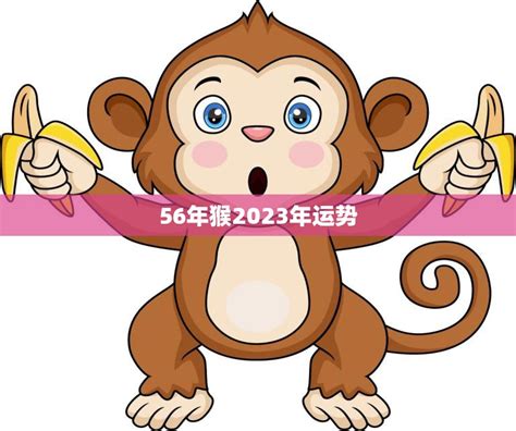 2023年運程 猴|属猴2023年运势及运程详解 2023年属猴人的全年每月运势